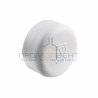 Заглушка VALTEC VTp.790 - 50 (для полипропиленовых труб под пайку, цвет белый)